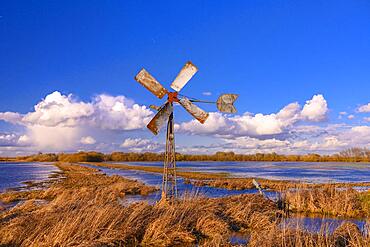 Windmill at the edge of a wet meadow in the Ochsenmoor at Lake Duemmer, scoop wheel, spring, expanse, Huede, Lower Saxony, Germany, Europe