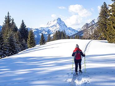 Snowshoe hiker in winter landscape, trail of snowshoes, behind Admonter Reichenstein, on the way to Ebner Alm, Johnsbacher Almenrunde, Johnsbach, Gesaeuse National Park, Styria, Austria, Europe