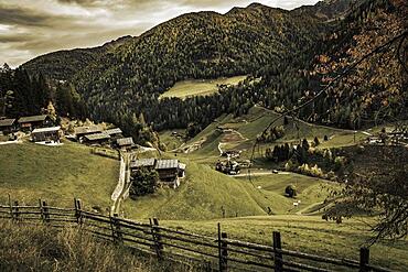 Old farms on mountain meadow, Ulten Valley, Merano, South Tyrol, Italy, Europe