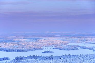 Snow covered Landscape, Winter, Rukatunturi, Ruka, Kuusamo, Nordoesterbotten, Suomi, Finland, Europe