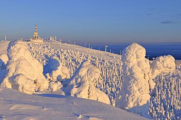 Snow covered mountain peak, Winter, Rukatunturi, Ruka, Kuusamo, Nordoesterbotten, Suomi, Finland, Europe