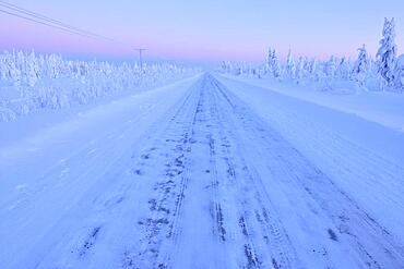 Road in winter, Haataja, Kuusamo, Nordoesterbotten, Pohjois Pohjanmaa, Finland, Suomi, Europe