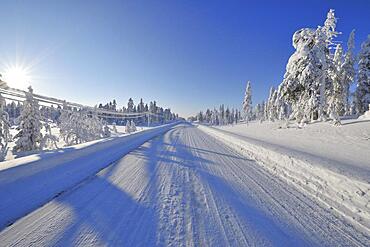 Snow covered road in winter, Posio, Kuusamo, Nordoesterbotten, Pohjois Pohjanmaa, Finland, Suomi, Europe