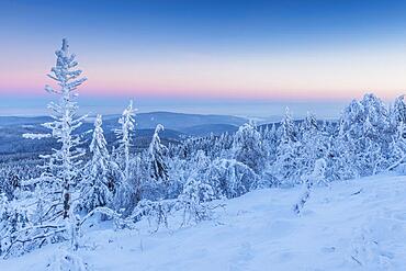 Snow Covered Winter Landscape at Dawn. Grosser Feldberg, Frankfurt, Taunus, Hesse, Germany, Europe