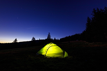 Illuminated green tent at the edge of the forest, starry sky, Todtnauberg, Black Forest, Baden-Wuerttemberg, Germany, Europe