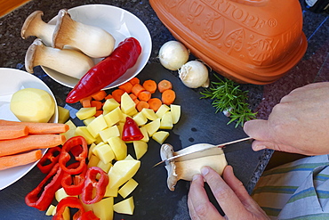 Southern German cuisine, preparing vegetables from the Roman pot, cutting mushrooms, herb mushrooms, red peppers, carrots, potato cubes, onions, knives, men's hands, rosemary, Germany, Europe