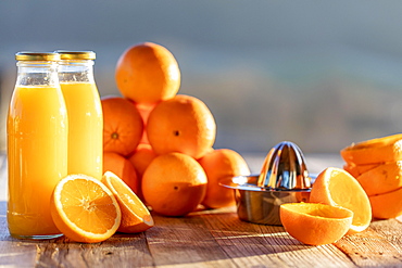 Orange juice, organic, homemade, freshly squeezed in bottle next to oranges in the morning sun