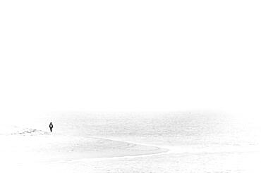 Single person on the shore of the North Sea, Sylt Island, Germany, Europe