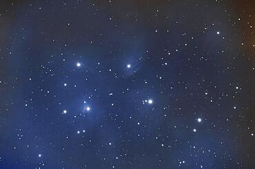 Star cluster Pleiades with reflection nebula, Messier 45, M45