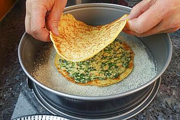 Swabian cuisine, pancakes, pancake layers with spinach mixture, springform pan, cake tin, preparing spinach cake spoon style, Swabian speciality, men's hands, Germany, Europe