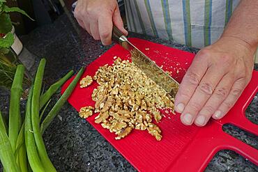 Southern German cuisine, baking, preparing hearty vegetable cake with walnut base, chopping walnuts with knife, chopping, red cutting board, men's hands, Germany, Europe