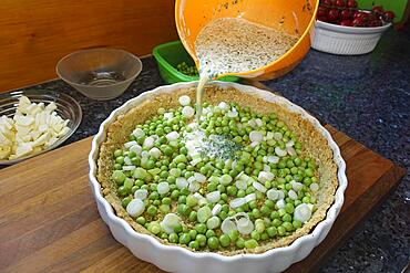 Southern German cuisine, baking, preparing hearty vegetable tart with walnut base, walnut dough in baking tin, dough with green peas, spring onions, filling mass into tart tin, quiche tin, mixing bowl, Germany, Europe