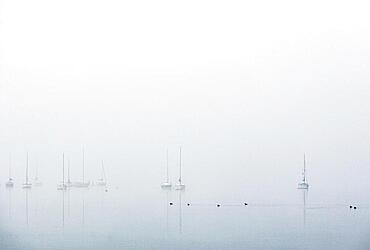 Sailing boats in the morning mist at Mondsee, autumn landscape, Salzkammergut, Upper Austria, Austria, Europe