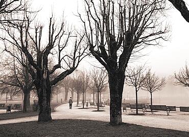 Misty lake promenade with walker, sepia colours, autumn landscape, Mondsee, Salzkammergut, Upper Austria, Austria, Europe