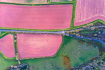 Top Down over Fields and Farmlands over English Village, Devon, England, United Kingdom, Europe