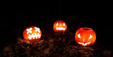 Glowing pumpkins at night, pumpkin face, carved pumpkins, grimace, halloween, dark background