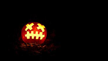 Glowing pumpkins at night, pumpkin face, carved pumpkins, grimace, halloween, dark background