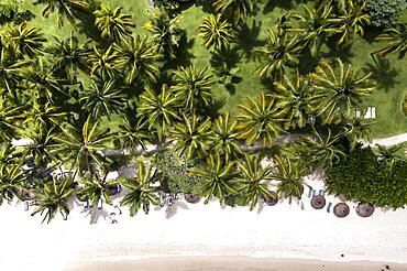 Aerial view of Flic en Flac beach from above, palm trees and parasols, Mauritius, Africa