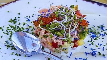 Nostos Restaurant, Appetizer, Salmon Tartare, Adamantas, Milos Island, Cyclades, Greece, Europe