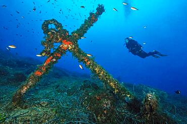 Old stick anchor, diver in the background, Mediterranean Sea, Elba, Tuscany, Italy, Europe