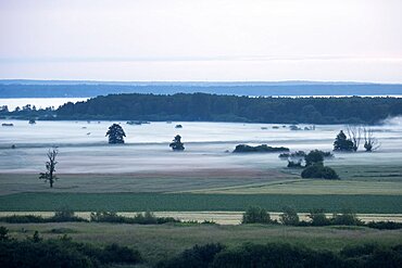 Ground fog in the Meerbruchwiesen, Steinhuder Meer, Lower Saxony