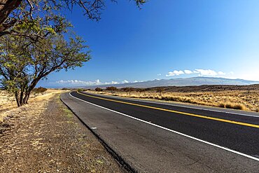 Road over the saddle, shield volcano behind, Big Island, Hawaii, USA, North America