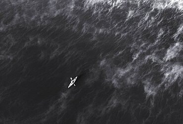 SW shot, canoeist at the Irrsee between fog, ground fog, from above, drone shot, aerial view, Zell am moss, Salzkammergut, Upper Austria, Austria, Europe