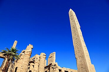 Luxor, Karnak Temple, obelisks of Thutmosis I and Hatshepsut in the temple complex at Karnak, UNESCO World Heritage Site, Egypt, Africa