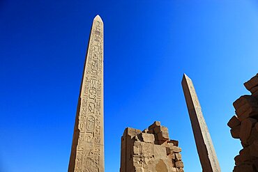 Luxor, Karnak Temple, obelisks of Thutmosis I and Hatshepsut in the temple complex at Karnak, UNESCO World Heritage Site, Egypt, Africa