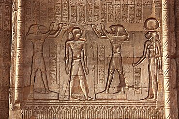 Temple of Chnum, reliefs on the wall, in the city of Esna, Upper Egypt, Egypt, Africa