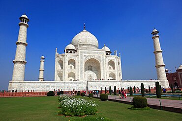 State of Uttar Pradesh, Agra, the Taj Mahal Tomb, North India, India, Asia