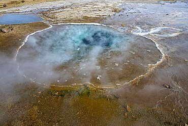 Geyser, thermal area, Iceland, Europe