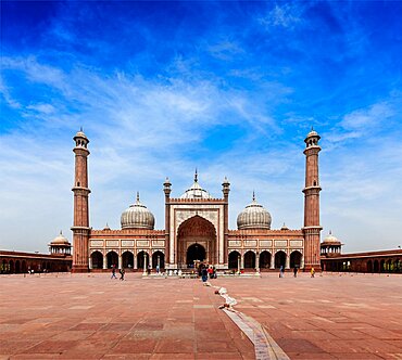 Jama Masjid, largest muslim mosque in India. Delhi, India, Asia