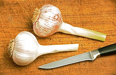 Fresh garlic