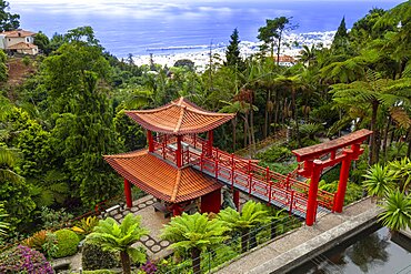 Tropical Garden, Monte Palace, Monte, Funchal, Madeira, Portugal, Europe