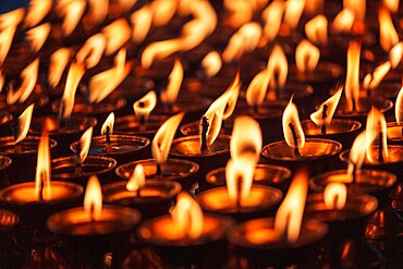 Burning candles in Buddhist temple. Dharamsala, Himachal Pradesh