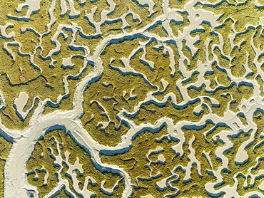 Network of dry channels and streams at low tide, in the marshland of the Bahia de Cadiz, aerial view, drone shot, Cadiz province, Andalusia, Spain, Europe