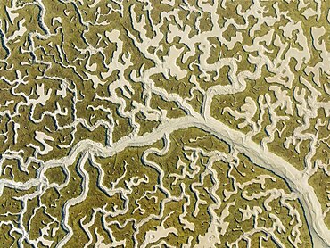 Network of dry channels and streams at low tide, in the marshland of the Bahia de Cadiz, aerial view, drone shot, Cadiz province, Andalusia, Spain, Europe