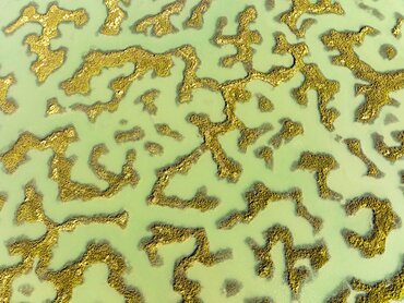 Network of channels and streams at low tide, in the marshland of the Bahia de Cadiz, aerial view, drone shot, Cadiz province, Andalusia, Spain, Europe