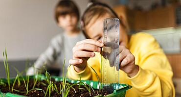 front view little girl measuring sprouts growing home. High resolution photo