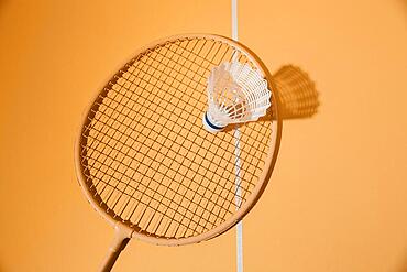 badminton racket shuttlecock top view