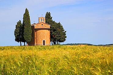 Capella di Vitaleta, tiny, secluded chapel nestled among cypress trees with imposing views of the surrounding countryside in the Val d Orcia, Orcia Valley, near San Quirico d Orcia, Tuscany, Italy, Europe