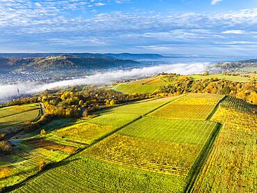 Drone view of sunrise with fog over valley Remstal, region Swabian Forest, Baden-Wuerttemberg, Germany, Europe