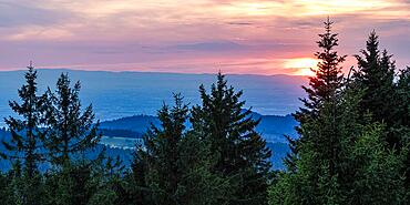 View from Schliffkopf at sunset, trees, forest, Black Forest National Park, Northern Black Forest, Black Forest, Baden-Wuerttemberg, Germany, Europe