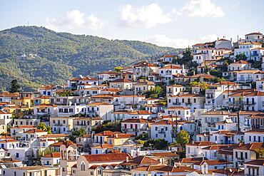 Sea of houses, village view Poros, Saronic Gulf, Greece, Europe