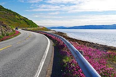 Winding road leading along the sea, Arctic Ocean, Summer, Varanger Peninsula, Artkis, Finnmark, Norway, Europe