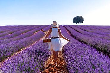 A caucasian woman in a summer lavender field picking flowers, rural lifestyle