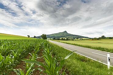 Volcanic landscape Hegau, fields and country road with view of the Hohenhewen, Weiterdingen, Baden-Wuerttemberg, Germany, Europe