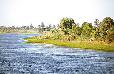 Riparian Landscape on the Nile, Egypt, Africa