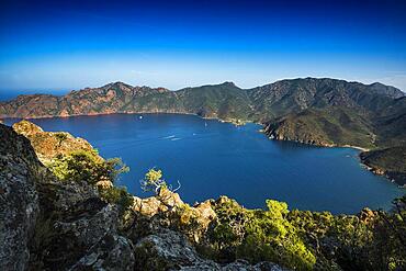 Rocky coast, Bay of Girolata, Girolata, La Scandola, UNESCO World Heritage Site, Haute-Corse department, West coast, Corsica, Mediterranean Sea, France, Europe